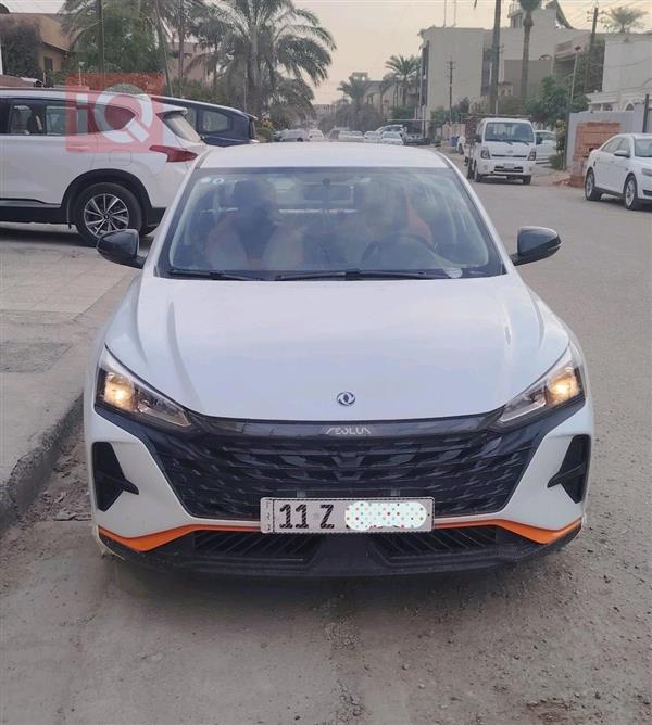 دونج فينج شاين 2025 للبيع في العراق - صلاح الدين